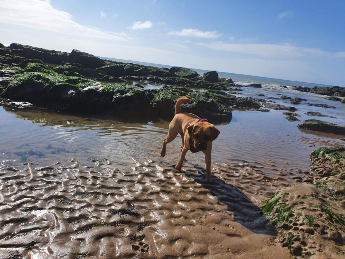 Beautiful Apartment 2 Mins To The Beach St Leonards-on-Sea Eksteriør bilde